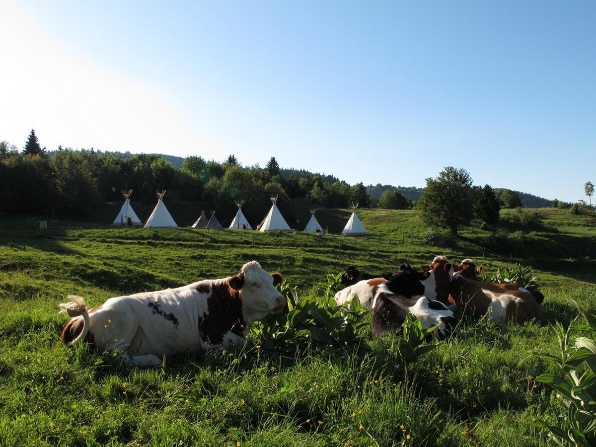 Village Tipi La Féclaz Eksteriør billede
